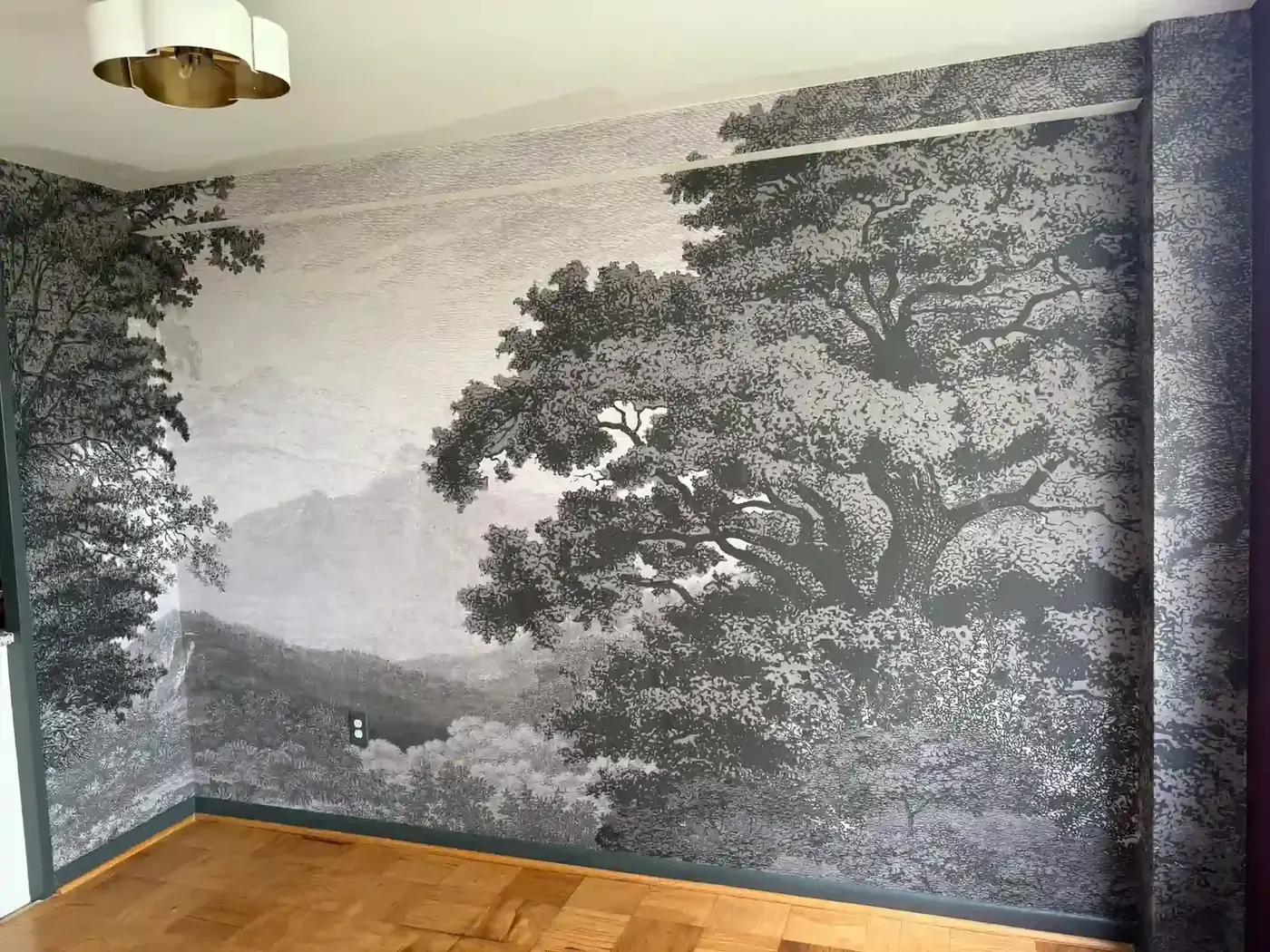 Black-and-white landscape mural of large trees running across a room wall and around a corner